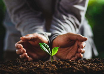 Piauí registra adesão inédita de todos os municípios ao Selo Ambiental 2026