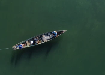 Pescadores profissionais têm até dia 31 para comprovar atividade