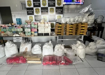 Polícia apreende 700 kg de drogas e desmonta centros de distribuição no Norte do Piauí