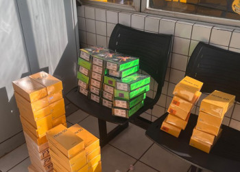 Caminhão de verduras com contrabando de celular tomba na BR-343; motorista estava bêbado