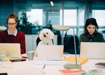 Empresas incorporam pets à rotina corporativa