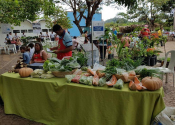 Feira do agricultor movimenta Cacimba Velha no próximo domingo, dia 19