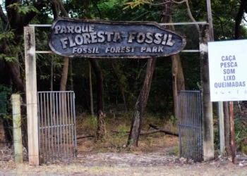 ​​Parque Floresta Fóssil é rebatizado com nome de Niède Guidon