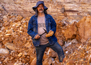 Governo do Piauí desenvolve índice de sustentabilidade e impulsiona nova fase da opala