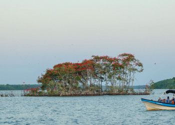 Turismo no Piauí cresce acima da média e rompe barreiras na geração de empregos