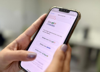 Saiba como renovar CNH e abrir empresas sem sair de casa pelo Gov.pi Cidadão