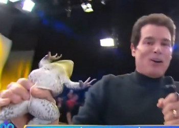 Celso Portiolli é detonado após cena com rã viva no Domingo Legal; assista o vídeo