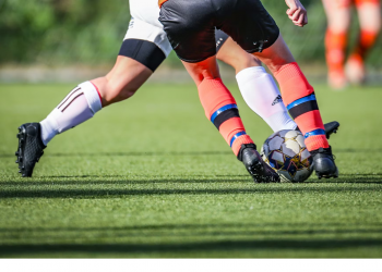 Palmeiras é favorito a vencer o Brasileirão? Descubra o que dizem as odds