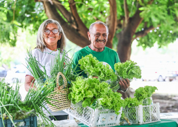 Quitanda da Agricultura Familiar volta neste domingo (25) com a venda de produtos do campo