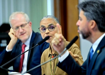 Márcia Tiburi condena ataques misóginos de senadores contra a ministra Marina Silva