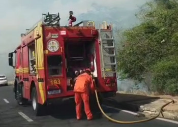 VÍDEO: incêndio em área da UFPI já dura mais de 10 horas e ameaça habitat de capivaras