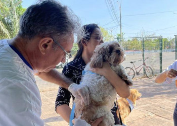 Vacinação contra raiva em Teresina acontece nas zonas Norte e Leste dia 22