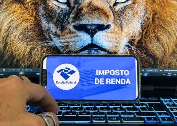 Receita libera consulta ao lote da malha fina com restituição de R$ 300 mi; veja detalhes