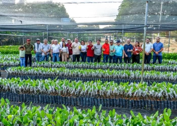 Limma visita viveiro que produz 50 mil mudas e reforça a agricultura familiar em Ipiranga