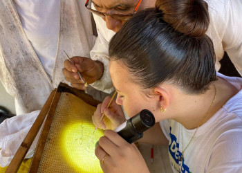 Mais de 3 mil mulheres participam da produção de mel e geram renda no Piauí