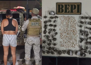 PM fecha ponto de venda de drogas em área de mata no Norte do Piauí; mulher foi presa