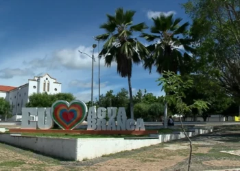 Quinze cidades do Piauí terão divisas territoriais revisadas pela Alepi; veja quais são