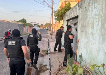 Dez pessoas são presas por roubo e adulteração de veículos no Piauí e Maranhão