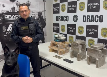 Cão farejador ajuda na apreensão de 25 kg de drogas nas zonas Sul e Sudeste de Teresina