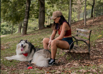 Orientação comportamental ganha espaço no cuidado com pets