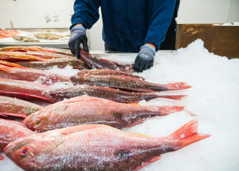 Piauí vai ganhar mais 6 indústrias com R$ 15,44 milhões em investimentos aprovados