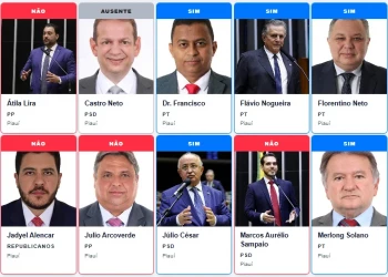 Quatro deputados do Piauí votaram contra proposta de gratuidade de bagagem em voos