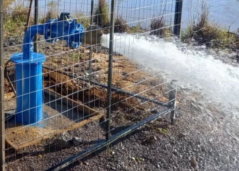 Alepi aprova isenção da 