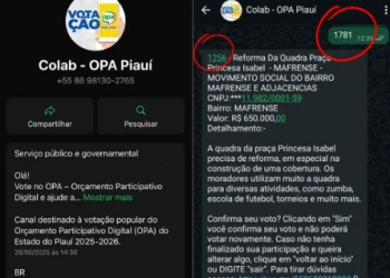 Votação do OPA enfren​ta falhas no sistema no 1º dia e população reclama