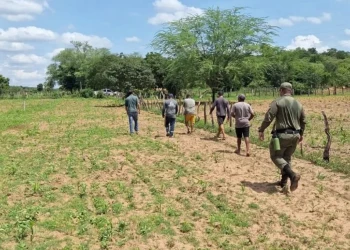 Após mais de 24 horas de buscas, homem é encontrado debilitado em mata no Sul do Piauí