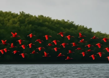 Rota das Emoções movimenta R$ 670 milhões em 16 anos e atrai meio milhão de turistas