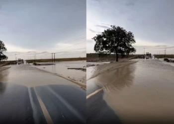 Riacho transborda e água invade trecho da BR-135 em Santa Luz, no Sul do Piauí
