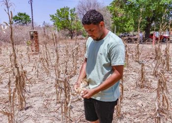 Seca se agrava no Piauí e eleva para 125 o número de municípios em emergência
