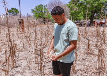 Seca no Piauí atinge 100% do território e 49 municípios enfrentam situação extrema