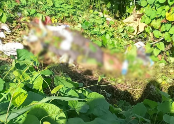 Corpo de homem é encontrado em lagoa com várias marcas de tiros