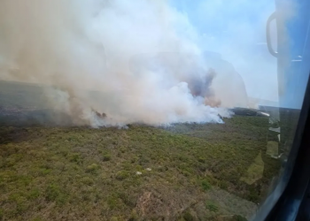 Professor de Parnaíba, Litoral do Piauí, viraliza com vídeos