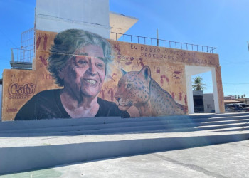 Mural eterniza legado de Niède Guidon em São Raimundo Nonato