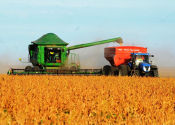 Exportações do Piauí somam US$ 1,2 bilhão até novembro de 2025