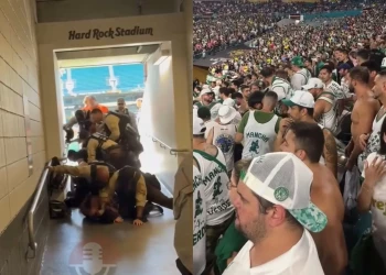 Torcedores de Palmeiras e Fluminense são detidos em jogos da Copa do Mundo de Clubes