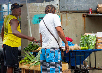 Informalidade: 344 mil piauienses trabalham por conta própria sem CNPJ e 253 mil sem CLT