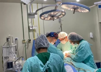 Piauí registra aumento nos transplantes de córnea, rins e doações de órgãos múltiplos