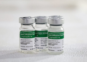 Piauí recebe 280 mil vacinas contra a Influenza; veja quem pode se imunizar