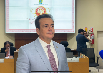 TRE-PI entrega Medalha do Mérito Eleitoral a deputado, procuradores e advogada