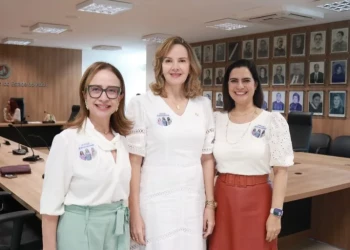 Três mulheres lideram votação para Procurador-Geral de Justiça do Piauí