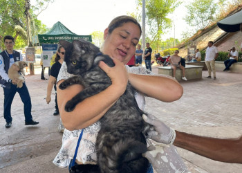 Vacinação contra raiva acontece neste sábado (22) nas zonas Norte e Leste de Teresina