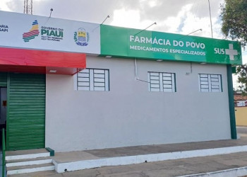 Farmácia do Povo: Gov.pi Cidadão permite consulta e pedido digital de 270 medicamentos