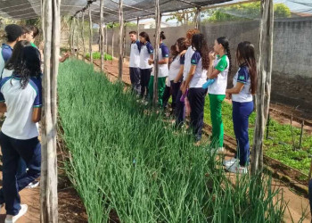 Nova lei transforma realidade do agro em conteúdo educacional no Piauí