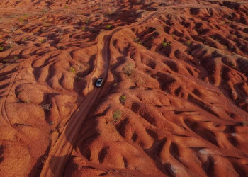 Piauí intensifica ações para recuperar áreas degradadas e combater a desertificação