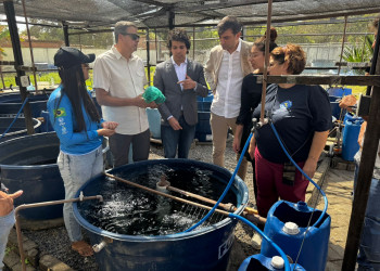 Comitiva italiana sinaliza interesse em investir na cadeia pesqueira do Piauí