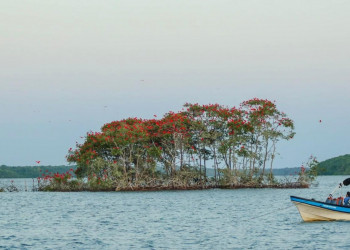 Agências europeias ofertam pacotes de turismo para o Piauí com foco em natureza e aventura
