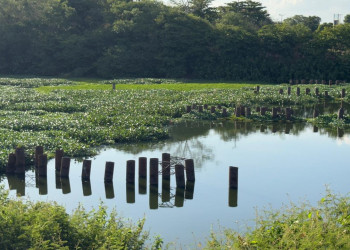 Ponte da Ufpi está atrasada há seis anos e sem previsão de retomada